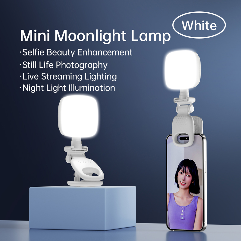 Photography Lighting Handheld - Tragbare Mini-LED-Selfie-Leuchte mit Clip, dimmbar, Beauty-Lampe