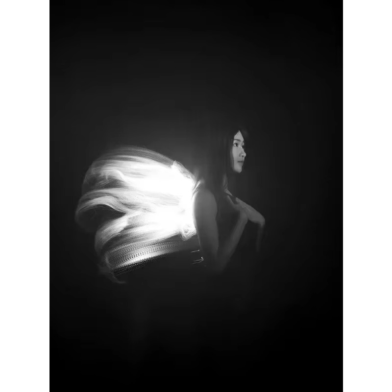 LLP Lichtbürstenmodul für Lich – Photography Lighting Guides Bewertung und Preis